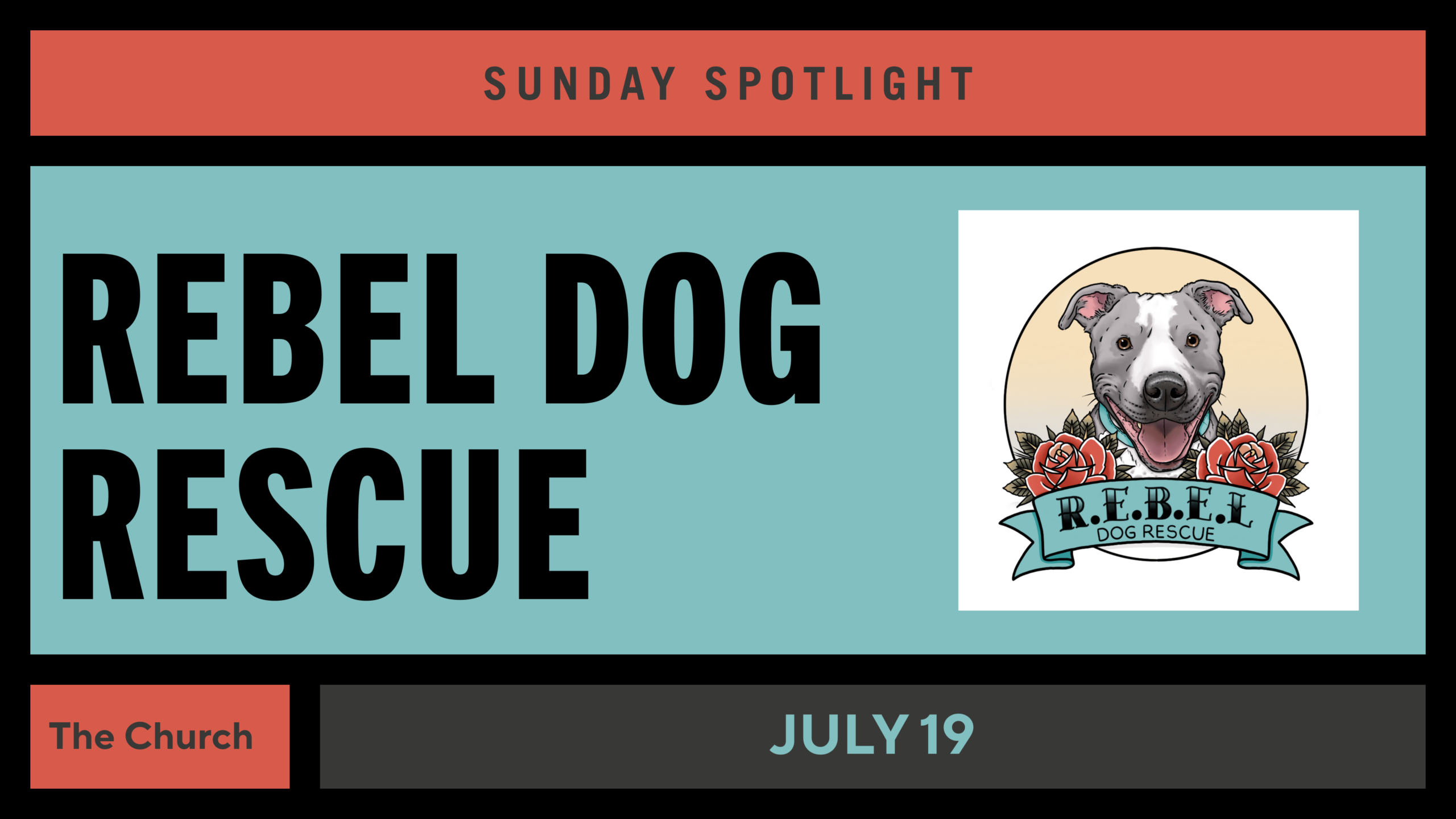 Rebel Dog Rescue
